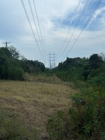 An open field with dry grass bordered by dense green vegetation, with power lines and tall electricity pylons visible against a partly cloudy sky.